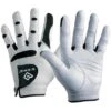 Bionic StableGrip Golf Glove 1 Bionic StableGrip Golf Glove -EliteGolf Store bionic white