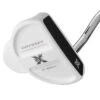 Odyssey Women's DFX 2-Ball Putter -EliteGolf Store odyssey womens dfx 2 ball putter hero itempicture