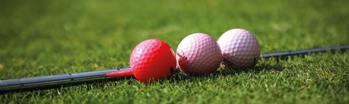 Front Page -EliteGolf Store banner686